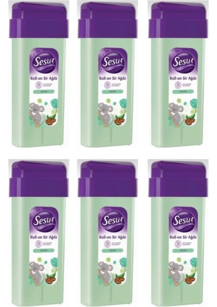 Roll-On Ağda Kahve 100ML X6 Adet