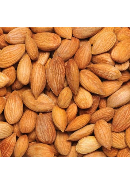 4 Yaş Aşılı Nonpareil Badem Fidanı