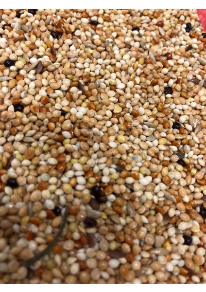 Kafes Kuşu Yemi 1kg