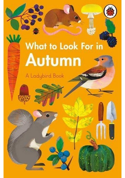 What To Look For In Autumn - Elizabeth Jenner