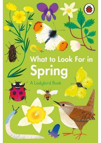 What To Look For In Spring - Elizabeth Jenner
