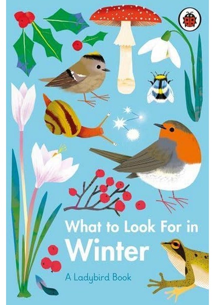 What To Look For In Winter - Elizabeth Jenner