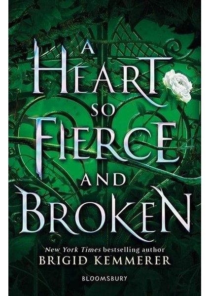 A Heart So Fierce And Broken - Brigid Kemmerer