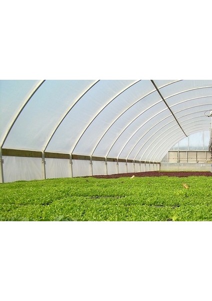 10M x 30M Sera Brandası 36 Aylık 350 Mikron Eva Uv Katkılı Sera Naylonu Kalın Sera Örtüsü Naylonu