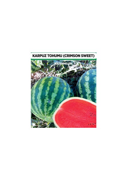 Karpuz Tohumu - Crimson Sweet 100 Adet