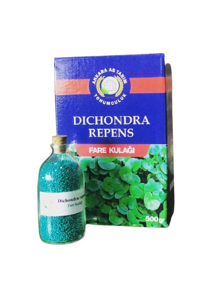 Dichondra Repens Fare Kulağı Çim Tohumu 500GR