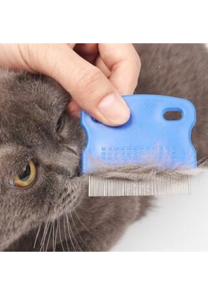 4 Lü Kedi Oyun Seti Kedi Oyuncak fiyatları