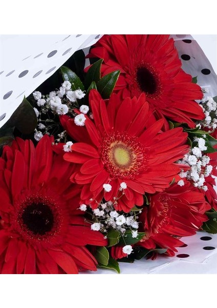 Sevgi Tutkusu 5 Kırmızı Gerbera Çiçek Buketi