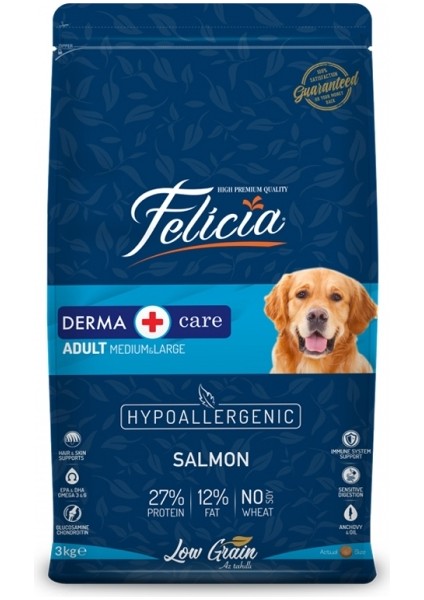 Adult Large Breed Somon Etli Yetişkin Köpek Maması 3kg