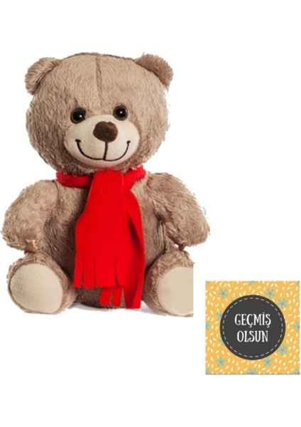 Nostalji Kutusu Geçmiş Olsun Kartlı Sevimli Peluş Ayı 22 cm