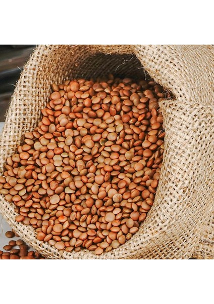 Yeşil Mercimek 1 kg
