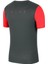 Dri-Fıt Academy Pro Erkek Tişört BV6926-079 2