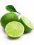 Reyon 2 Yaş Aşılı Tahiti Lime Yeşil Limon Fidanı, Torbada 1