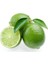 Reyon 5 Yaş Aşılı Lime (Meksika) Limonu Fidanı, Saksıda 1