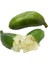 Reyon 6 Yaş Aşılı Finger Lime Parmak Limon Fidanı, Torbada 1