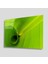 Yeşil Cam Tablo 4mm Dayanıklı Temperli Cam 1