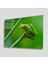 Yeşil Cam Tablo 4mm Dayanıklı Temperli Cam 1
