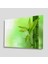 Yeşil Cam Tablo 4mm Dayanıklı Temperli Cam 1