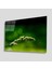 Yeşil Cam Tablo 4mm Dayanıklı Temperli Cam 1