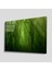 Yeşil Cam Tablo 4mm Dayanıklı Temperli Cam 1