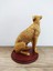 Modern Dekoratif Çita Biblo Masaüstü Süsü 16 cm 3