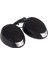 SH-010 350 W Oto Tweeter 1
