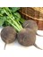 Siyah Naturel Doğal Turp Tohumu-25 Gram 1