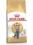 Royal Canin British Shorthair Irka Özel Yetişkin Kedi Maması 2 kg 1