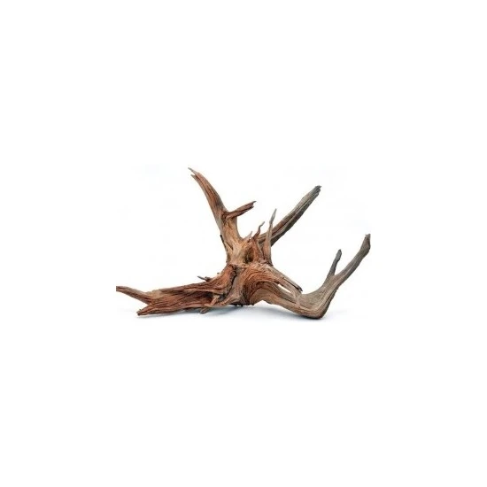 Canlı Petshop Yati  Kökü (Red Moor Wood )- M - 30-35 cm