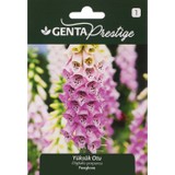 Genta Prestige Çiçek Tohumu Yüksük Otu Genta Prestige