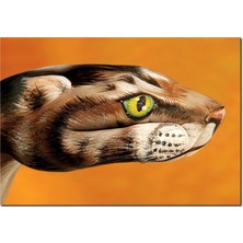 Cakatablo Ahşap Tablo  El Boyama Sanatı Çita