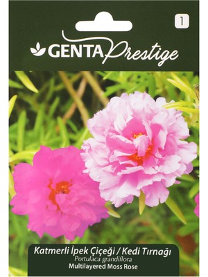 Genta Prestige Çiçek Tohumu Katmerli Ipek Çiçeği Kedi Tırnağı Genta Prestige