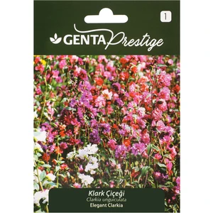 Prestige Çiçek Tohumu Klark Çiçeği Genta Prestige
