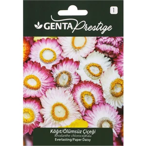 Prestige Çiçek Tohumu Kağıt Ölümsüz Çiçeği Genta Prestige