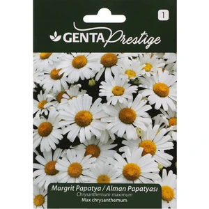 Prestige Çiçek Tohumu Margrit Papatya - Alman Papatyası Genta Prestige