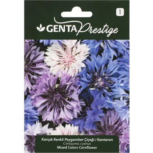 Prestige Çiçek Tohumu Karışık Renkli Peygamber Çiçeği Kantaron Genta Prestige