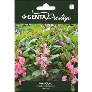 Prestige Çiçek Tohumu Kına Çiçeği Genta Prestige
