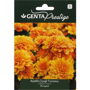 Prestige Çiçek Tohumu Kadife Çiçeği Turuncu Genta Prestige