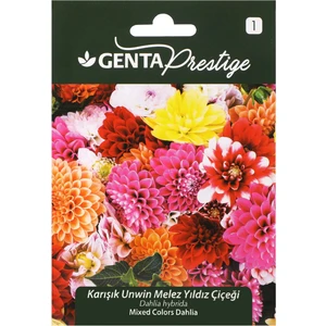 Prestige Çiçek Tohumu Karışık Unwin Melez Yıldız Çiçeği Genta Prestige