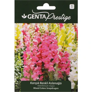 Prestige Çiçek Tohumu Karışık Renkli Aslanağzı Genta Prestige