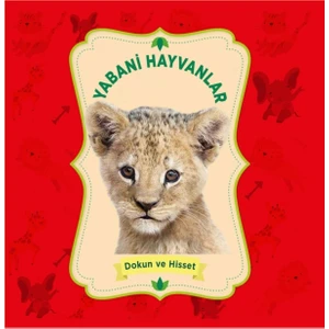 0-6 Yaş Yayınları Yabani Hayvanlar - Dokun ve Hisset