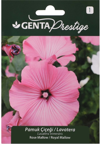 Prestige Çiçek Tohumu Pamuk Çiçeği / Lavatera Genta Prestige
