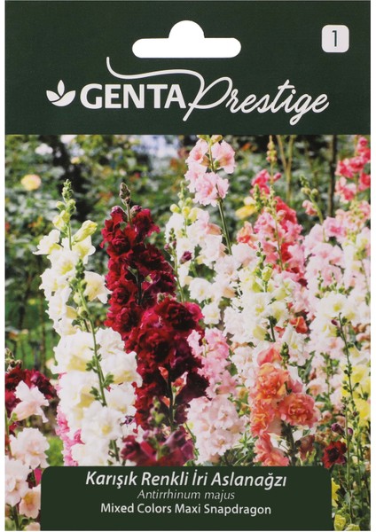 Prestige Çiçek Tohumu Karışık Renkli Iri Aslanağzı Genta Prestige