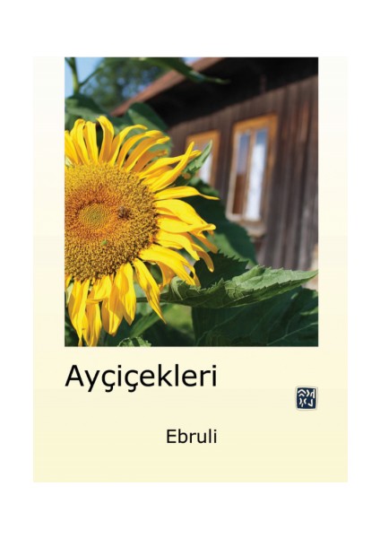 Ayçiçekleri - Halil Kalkan