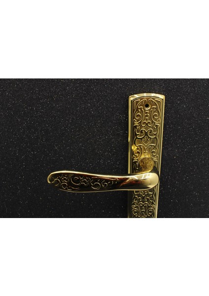 Imza Aynalı Oda Kapı Kolu Titanyum