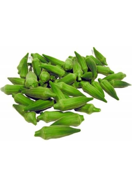 Taze Bamya 500 gr