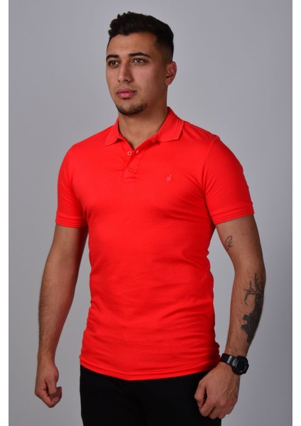 Erkek Polo Yaka T-Shirt K-0145 - Kırmızı modelleri