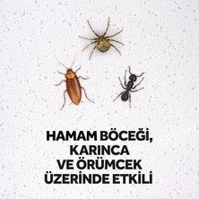 Raid Böceksavar Max 300 ml