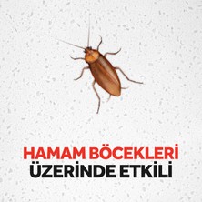 Raid Hamam Böceği Yemi 15 g