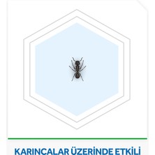 Raid Karınca Yemi